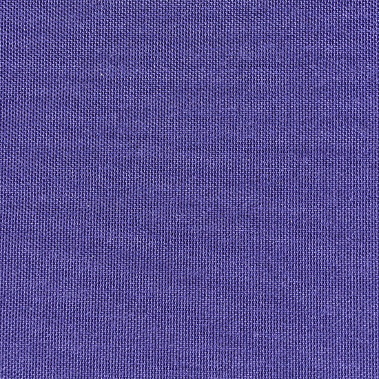 Sassy Purple