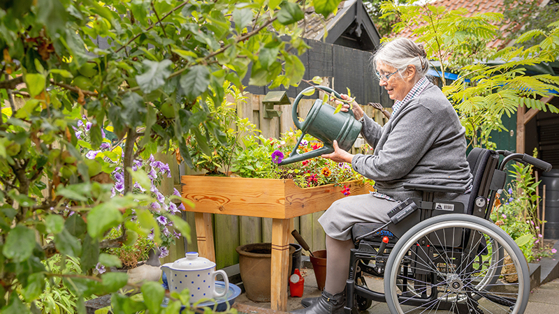 Star Webinar 800x450.png