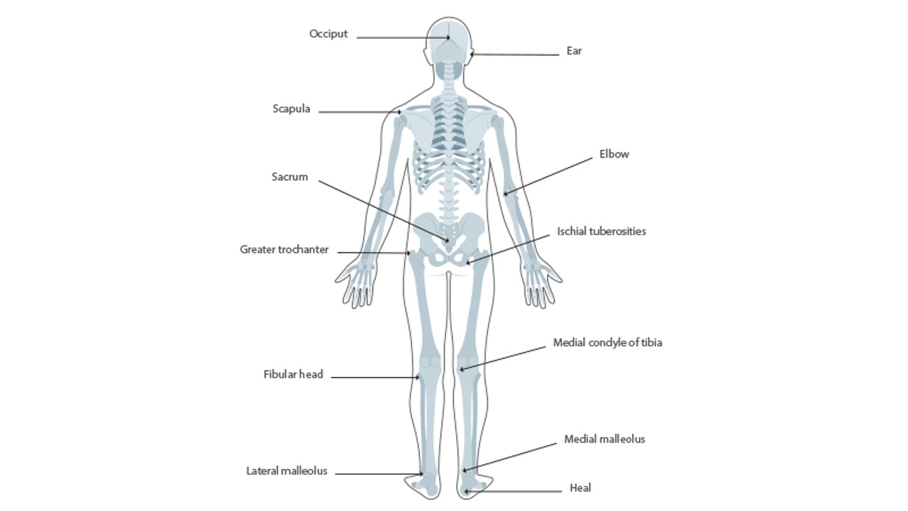 /contentassets/a265c04e986e4514b0e8051f2c5e380e/bont-promineces.jpg?width=1280&Quality=90&rmode=max&scale=down