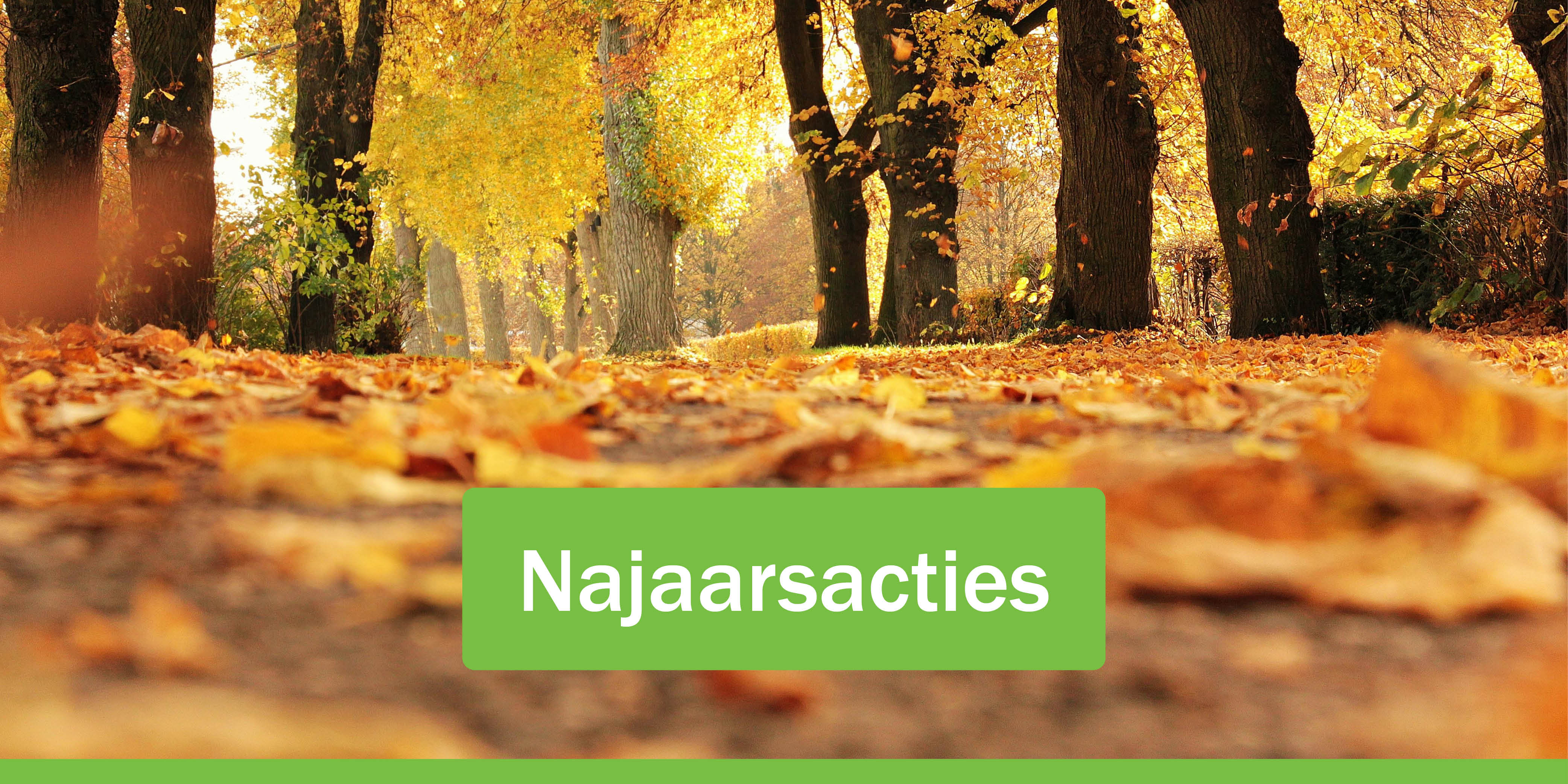 najaarsacties_mailbanner.jpg