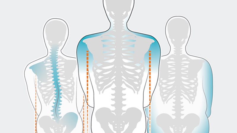 Bodyshape-discover_800x500.jpg