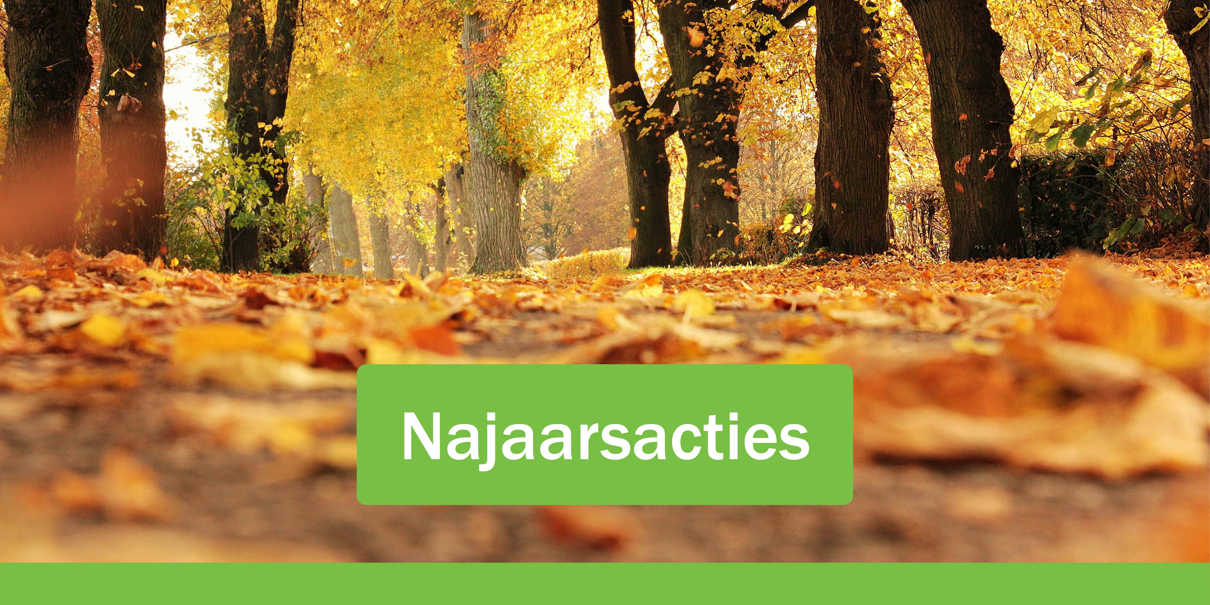 Najaarsactie_mailbanner.jpg