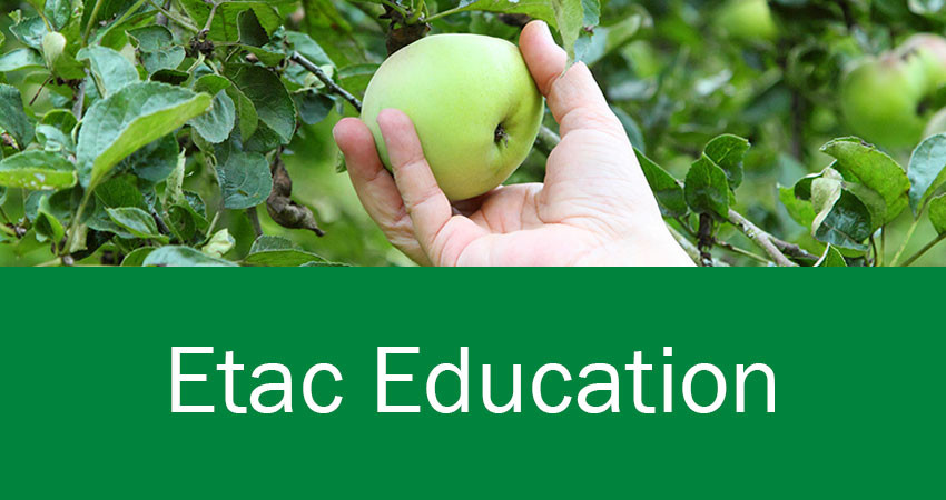 Webinar 15. juni 2021 kl. 10.00-10.45 og igen kl. 13.00-13.45