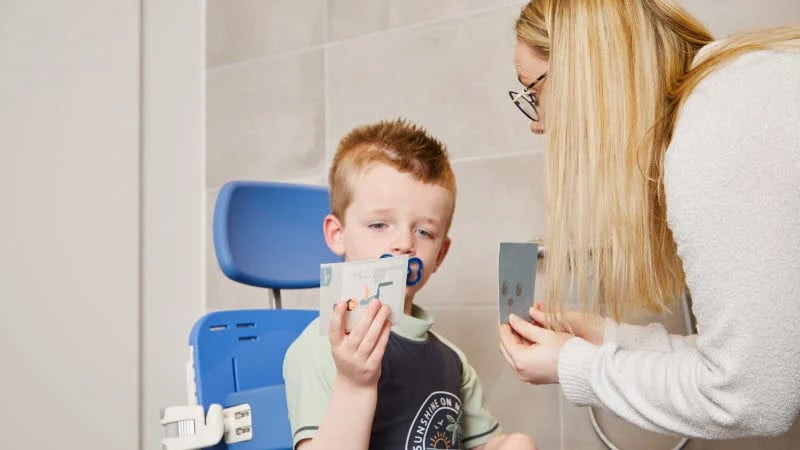 Flamingo Curo Video - 800x450.jpg