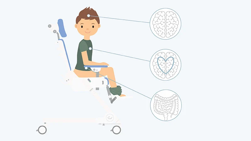 Toilettentraining Grafik - 800x450.jpg