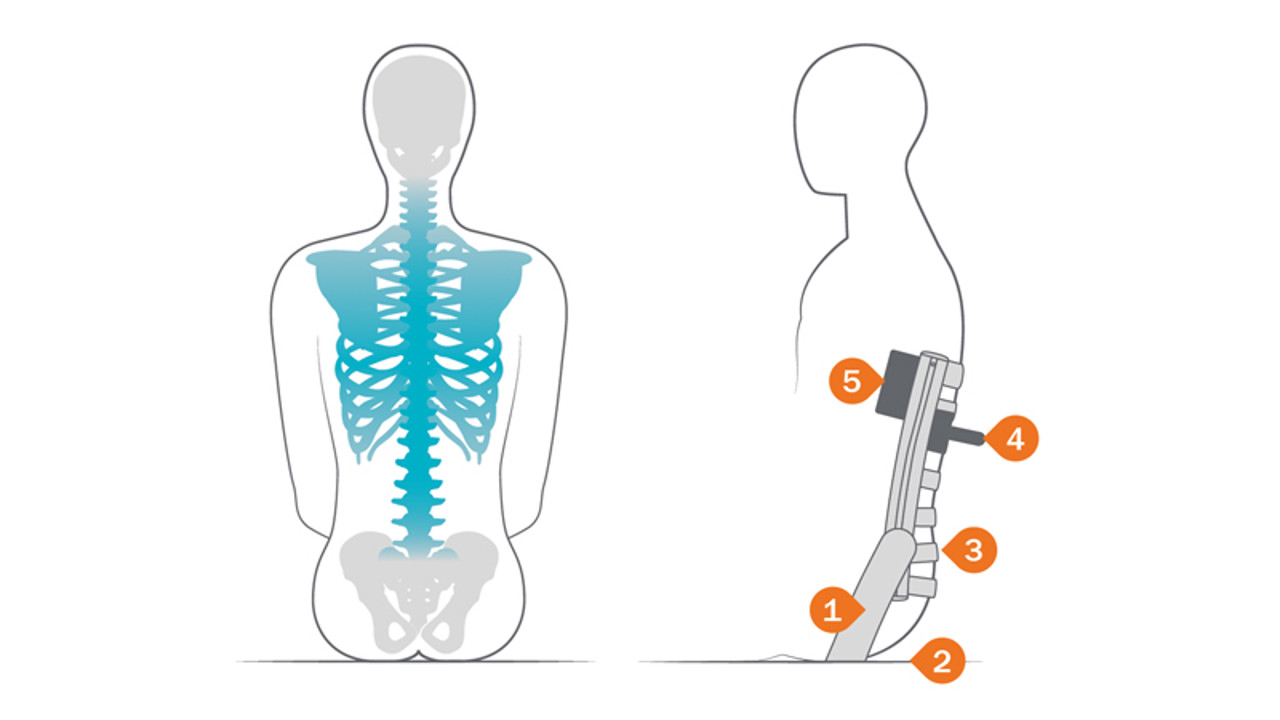 /globalassets/0-international/wheelchairs-and-pressure-care-landing-page/body-shapes-cross-5-and-6-and-prio-3a/cross-5-and-6/page---tall-upper-body/illustration_cross_accessories_body-shape_tall.jpg?width=1280&Quality=90&rmode=max&scale=down