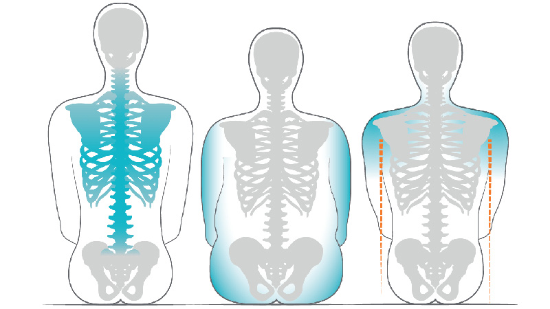 bodyshapes2_800x450.jpg