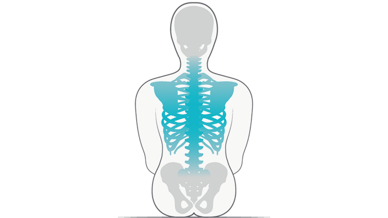 /globalassets/0-sweden/utbildning/kroppsformer--swift-mobil-2/prio-abs_alla-06-800x450.png?width=1280&Quality=90&rmode=max&scale=down