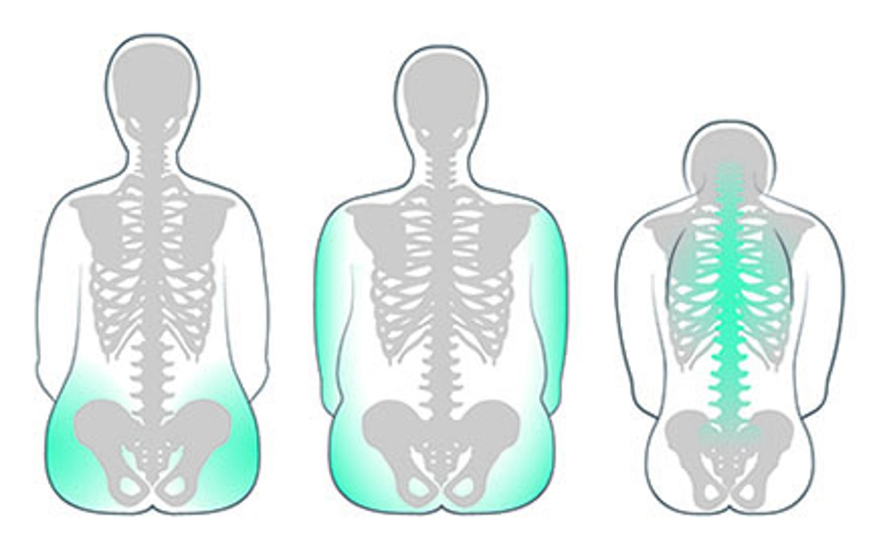 /globalassets/bodyshapes_swiftmobil2-smallnew.jpg?width=1280&Quality=90&rmode=max&scale=down