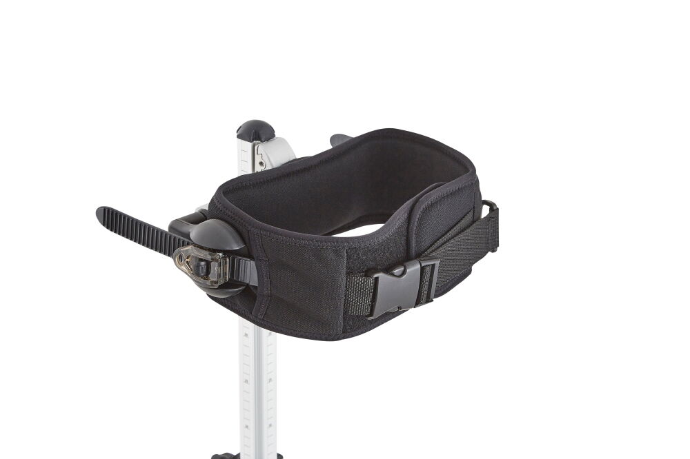 54753 Meerkat hip support.jpg
