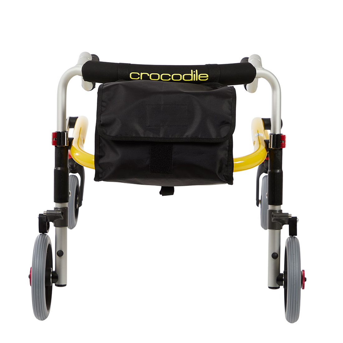 Crocodile-bag.jpg