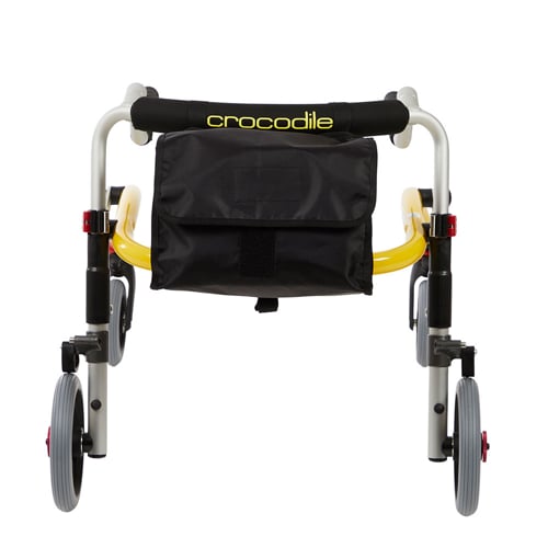 Crocodile-bag.jpg