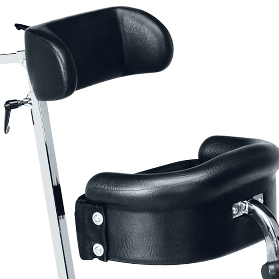 Head support system