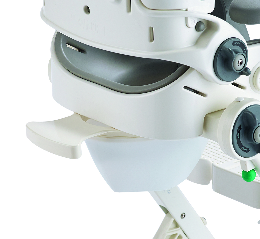 53798 Flamingo Potty Ring.jpg