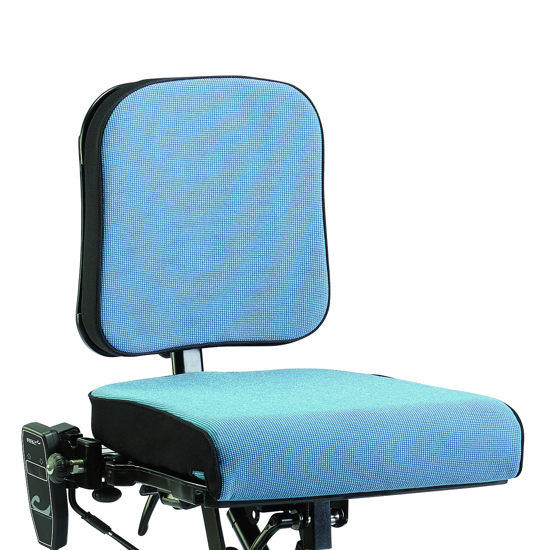 Back rest and seat cushion