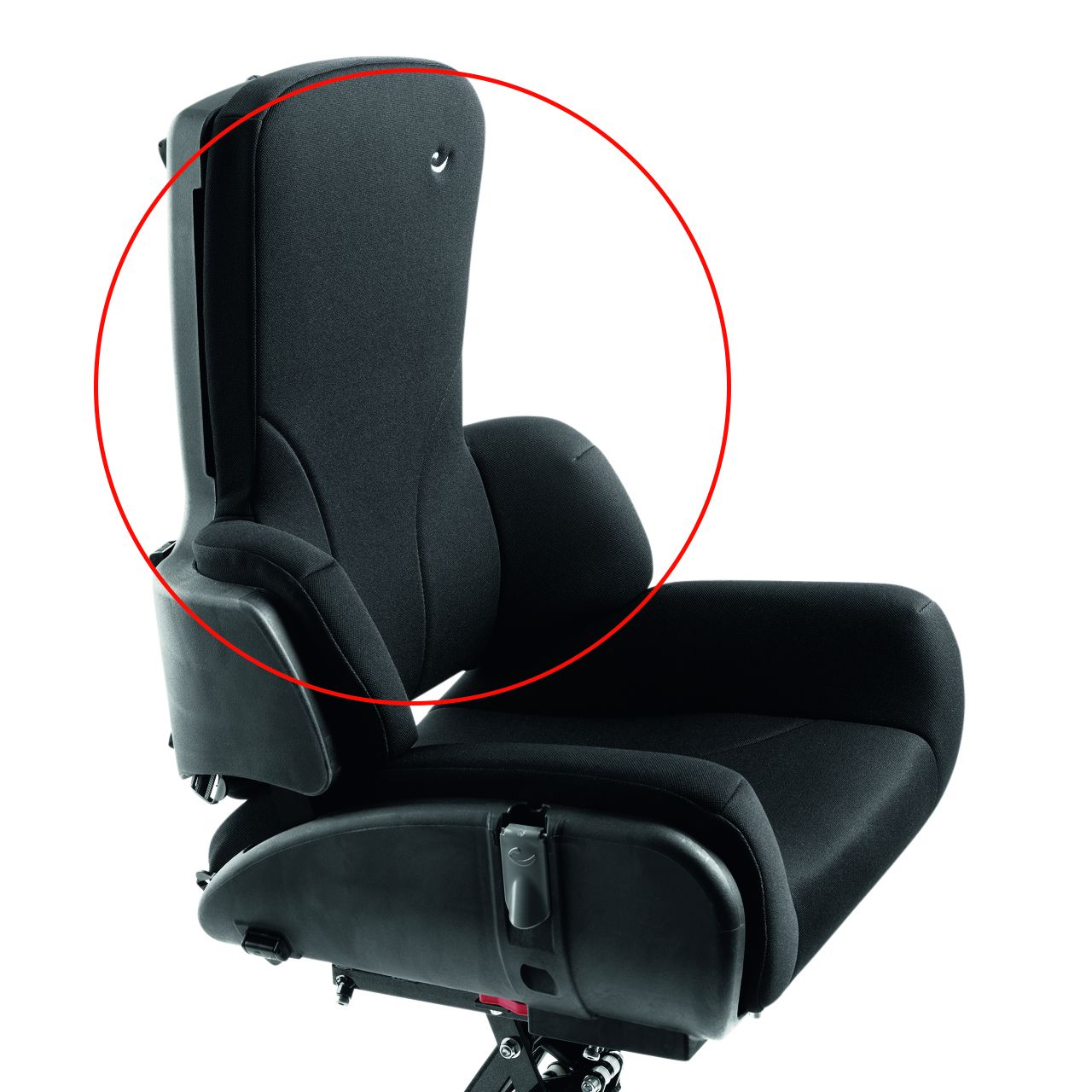 Back_cushion_PandaFutura5 active.jpg