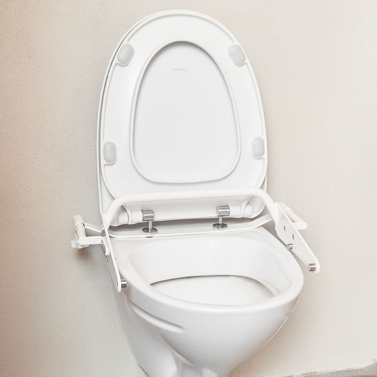 Flamingo-Curo_toilet-mounting.jpg