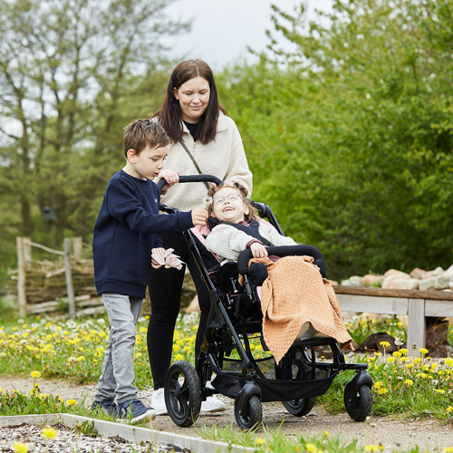 Chilla buggy_enviroment