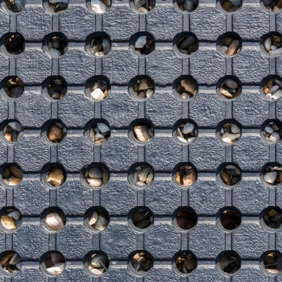 Rollout-Trackway