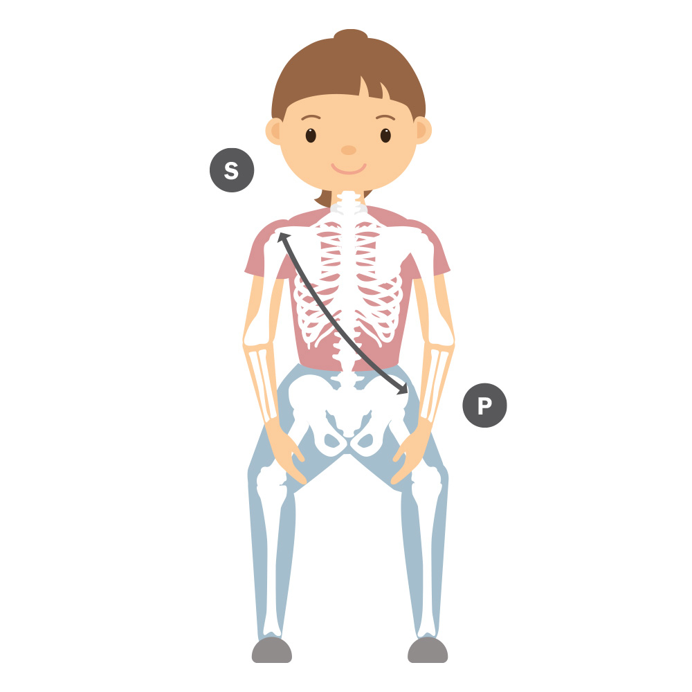 Torso and Cross vest measurement illustration