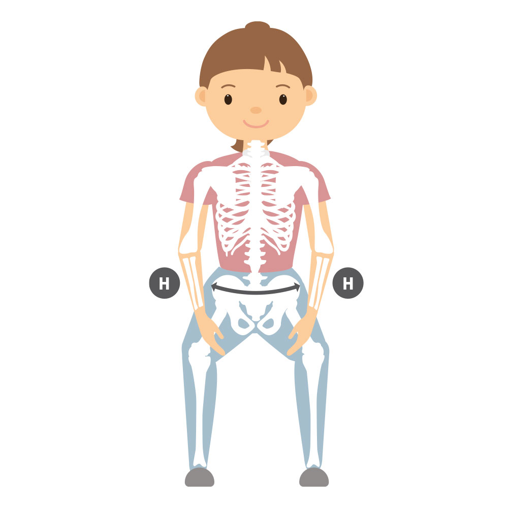 Y-hip and Pelvis measurement illustration