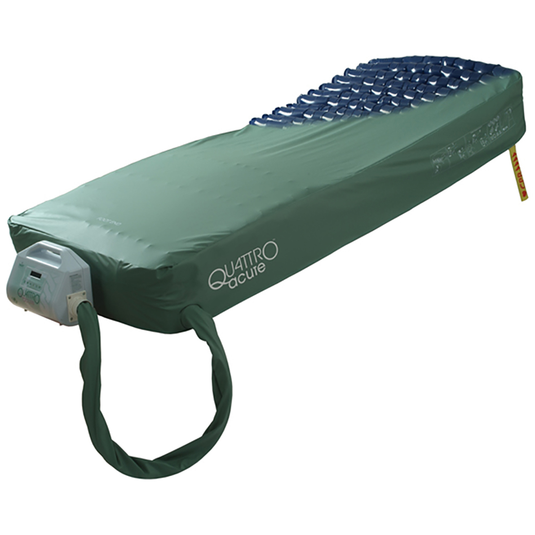 Talley Quattro Acute.jpg