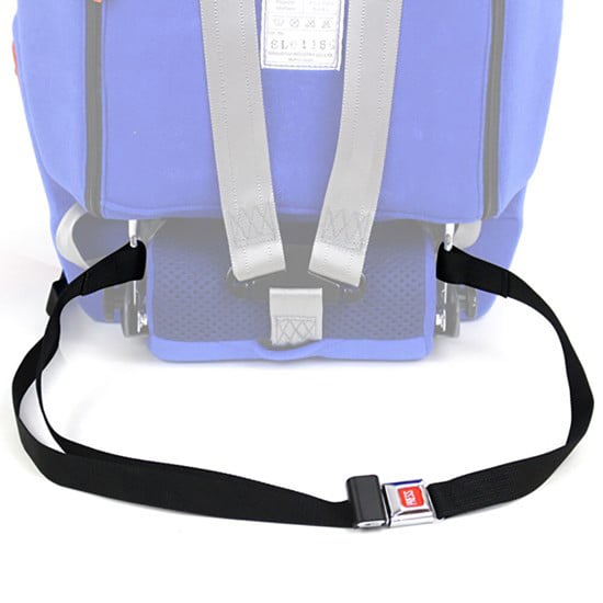 Lower securement strap
