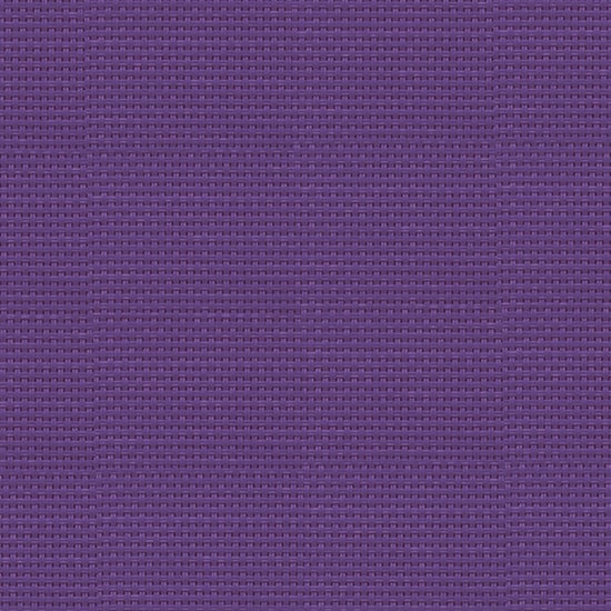 Violet Purple