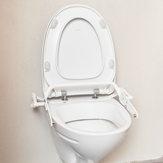Toilet mounting
