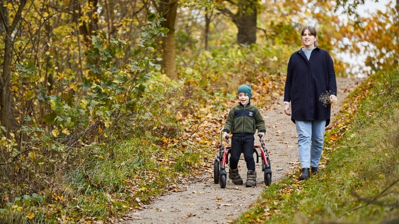 NO Case story - Crocodile AT - Card item