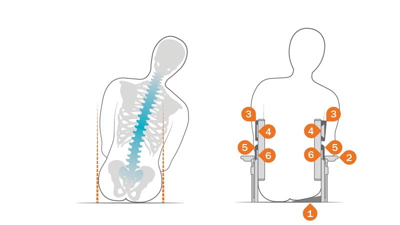 Shape up and create support for a body with a leaning posture in